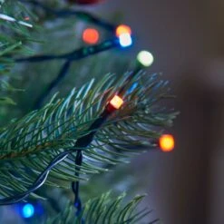 15m Outdoor Christmas Fairy Lights, 200 Colour Select LEDs -Twinkly Twinkly Store 2521002 20 1