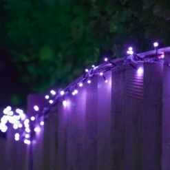 7.4m Outdoor Christmas Fairy Lights, 100 Colour Select LEDs -Twinkly Twinkly Store 2521002 9 2