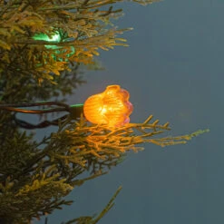 Indoor Traditional Multi Coloured Canterbury Belles Christmas Fairy Lights -Twinkly Twinkly Store 4405pb 7