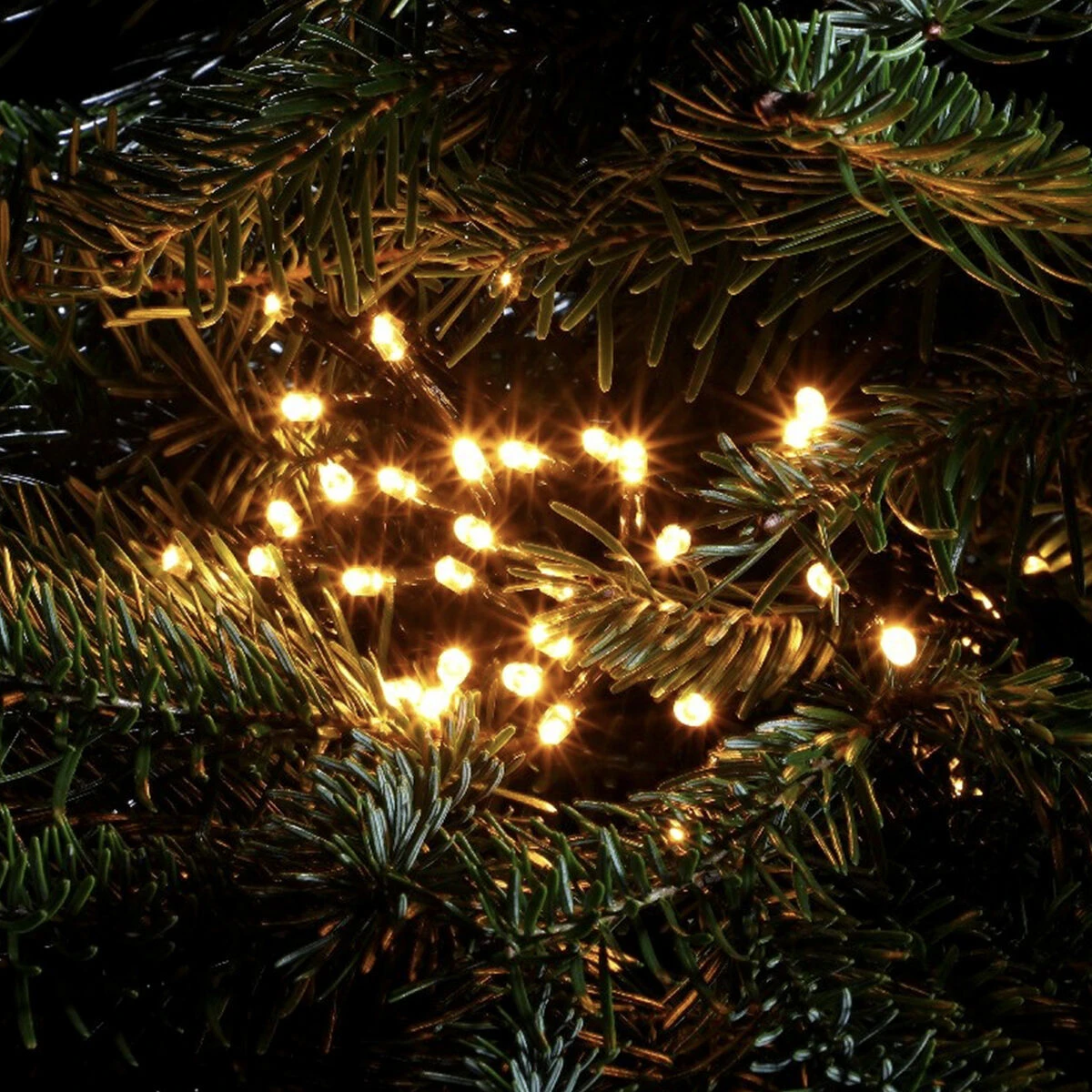 35.9m Outdoor Christmas Tree Fairy Lights, 480 Antique White LEDs 7 35.9m Outdoor Christmas Tree Fairy Lights, 480 Antique White LEDs - Image 5