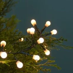 9.6m Outdoor Christmas Berry Lights, 480 Warm White LEDs -Twinkly Twinkly Store 6822104 5