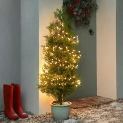 9.6m Outdoor Christmas Berry Lights, 480 Warm White LEDs -Twinkly Twinkly Store 6822104 6