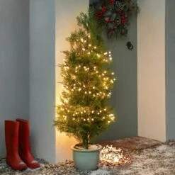 9.6m Outdoor Christmas Berry Lights, 480 Multi Coloured LEDs -Twinkly Twinkly Store 6822105 8