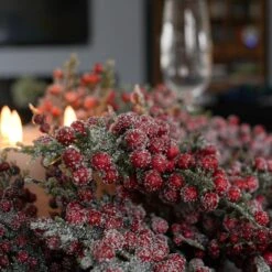 Premier® 50cm Frosted Berry Christmas Wreath -Twinkly Twinkly Store df227081 4