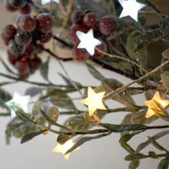 3m Silver Firefly Wire Christmas Tree Star Lights, White And Warm White LEDs -Twinkly Twinkly Store p036445 5