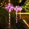 58cm Outdoor Candy Pop Christmas Stakes Lights, 3 Pack 1 58cm Outdoor Candy Pop Christmas Stakes Lights, 3 Pack -Twinkly Twinkly Store p044849 1 1
