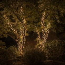 20m Smart App Controlled Twinkly Christmas Fairy Lights, Clear Cable, Special Edition - Gen II -Twinkly Twinkly Store twinkly 1 3