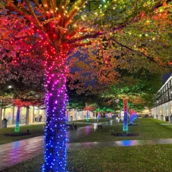 8m Smart App Controlled Twinkly Christmas Fairy Lights - Gen II -Twinkly Twinkly Store tws100stp buk 14